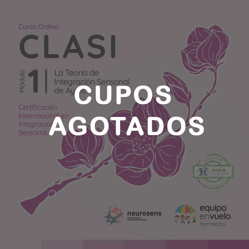 CLASI Módulo 1